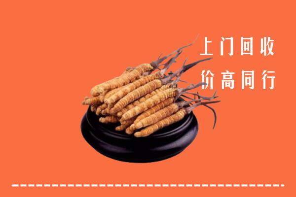 高价求购：聊城回收散虫草